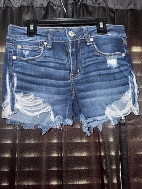 American Eagle Outfitters Distressed Blue Denim Cutoff Shorts